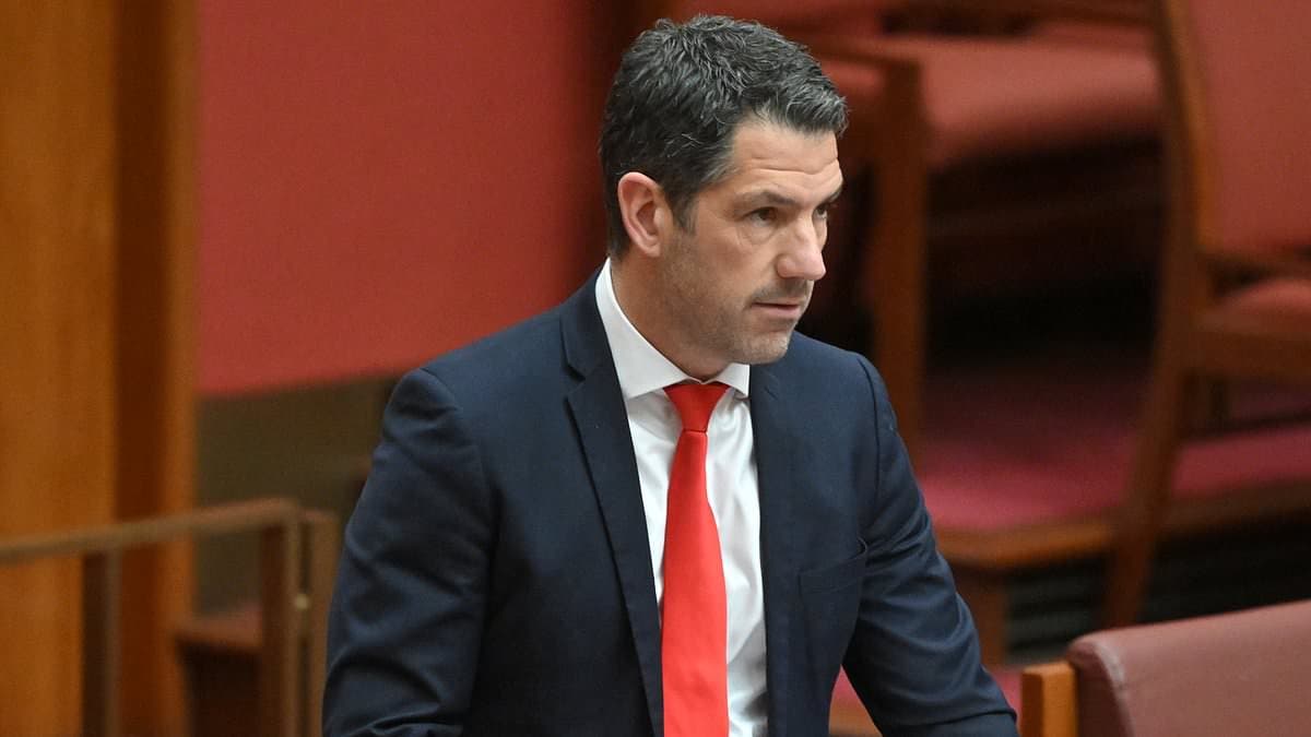 Health minister Mark Butler slams Senator Alex Antic's bird flu 'conspiracy theory' outburst: 'Remarkable even for him'