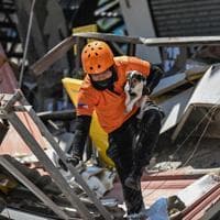 Outdoor hospitals, shaken communities as Philippine quake toll rises