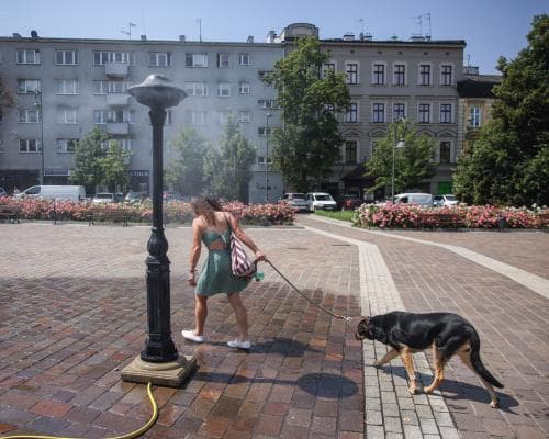 Germany, Czechia, Poland and Hungary swelter through hottest days on record 