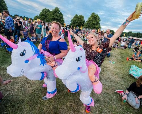 ‘Meet me at the dancing dogs tent!’ What’s behind Britain’s festival frenzy?