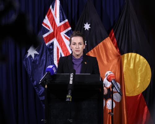 Is the Northern Territory a ‘mini Trump-style government’?