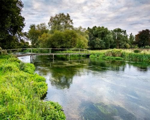 From chalk streams to temperate rain forests, our irreplaceable and rare habitats need us to use less water