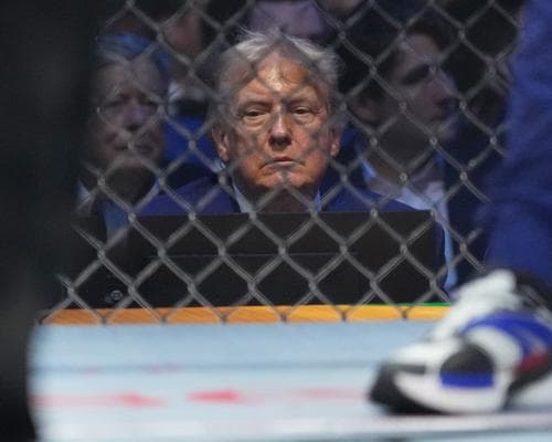 The UFC match plot: how a far-right group tried to assassinate Trump at his own event