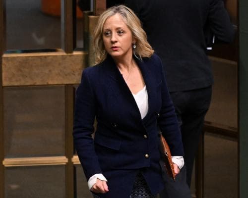 Australia politics live: McIntosh doubles down on call for Liberal ‘rebrand’; PM backs Hogan on Hanson