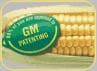 Sowing the Seeds of Famine in Ethiopia and Sub-Saharan Africa