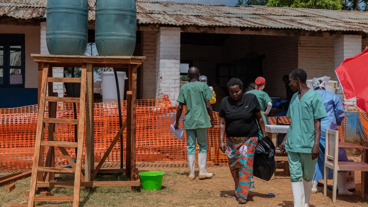 Ebola outbreak in Central Africa could reach 20,000 cases without strong public health measures