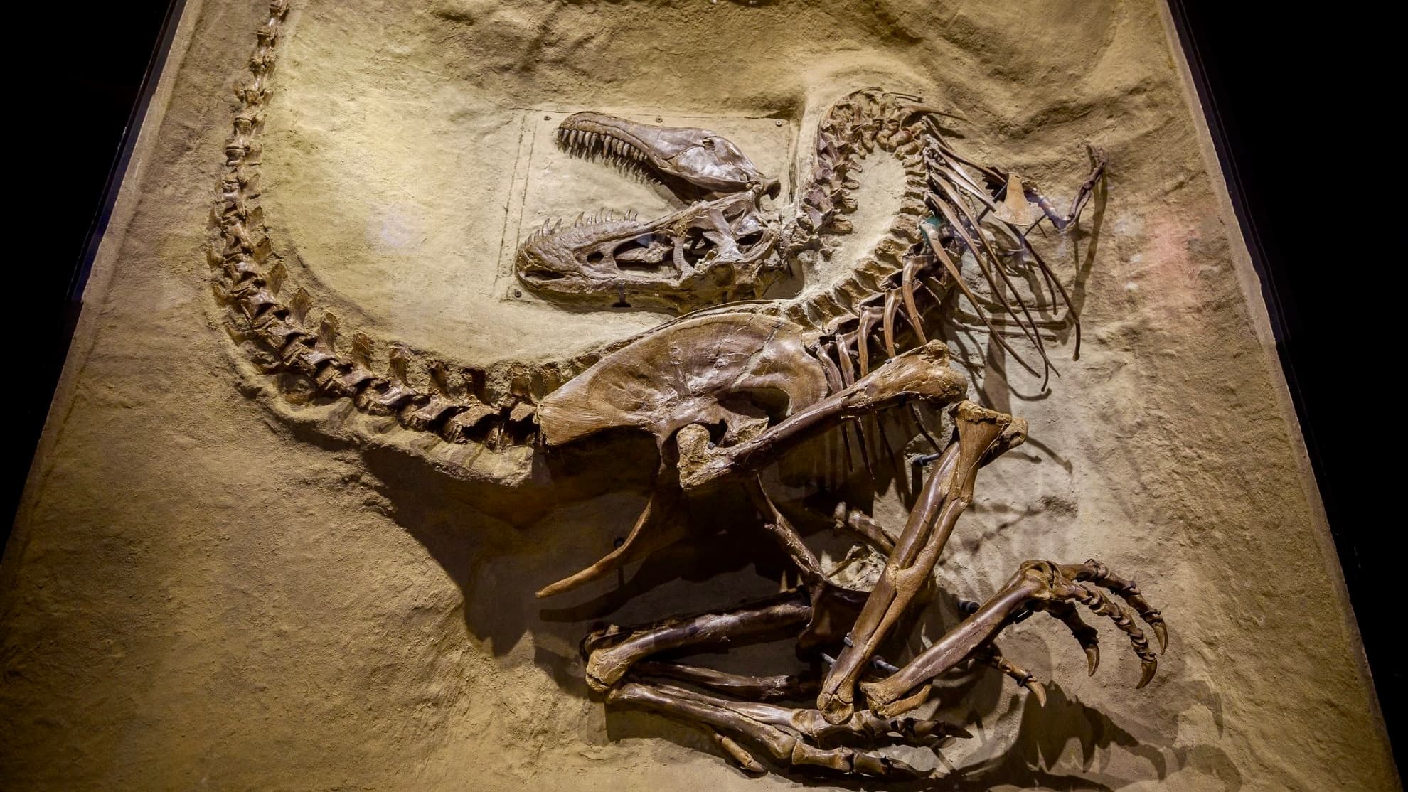 The Evolutionary Worldview Continues To Crumble As More Reports Prove That Science Confirms The Bible