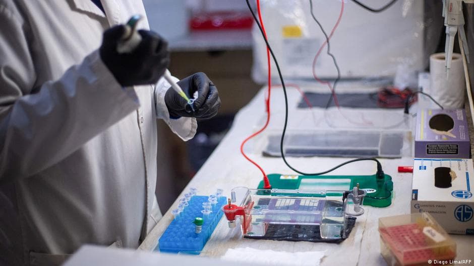 Hantavirus: Scientists head to western Argentina to trace outbreak source