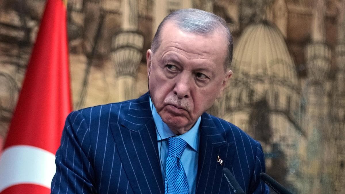 Turkey must be ‘included’ in Europe security structures: Erdogan ahead of NATO summit