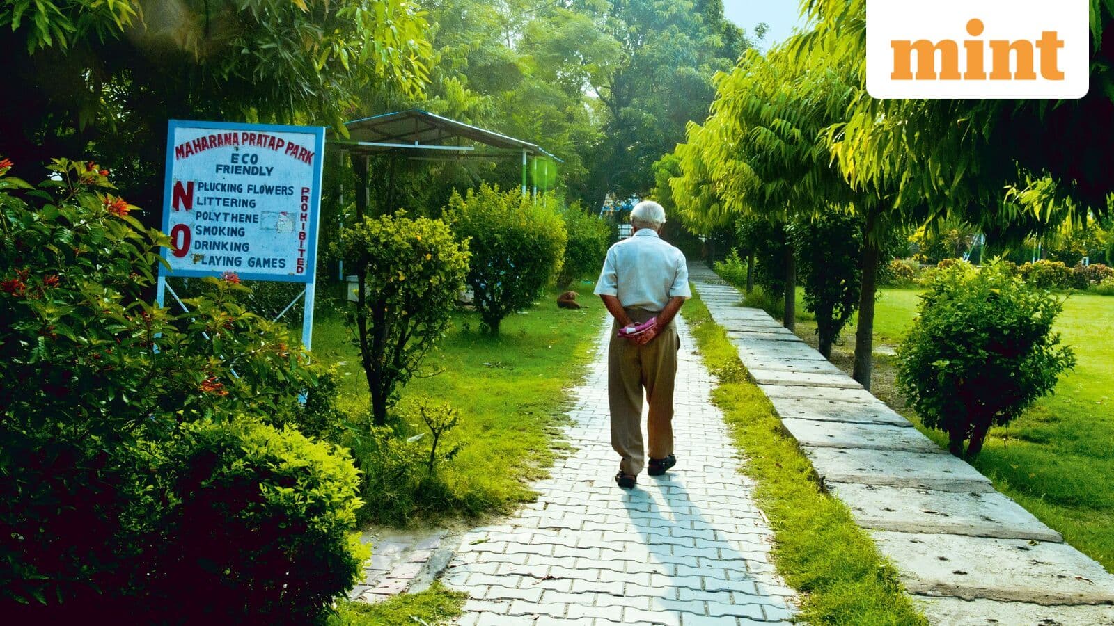 How SCSS helps senior citizens earn a ₹20,500 monthly income from ₹30 lakh savings | Mint
